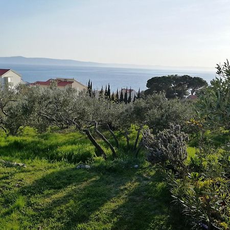 شقة Stella Mare Tučepi المظهر الخارجي الصورة